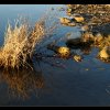 20121229_1106